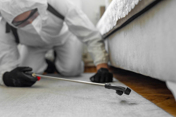 Professional Termite Control technician working in Richmond County County, GA